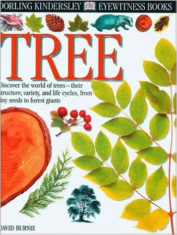 Eyewitness Plant DK Eyewitness Books