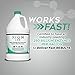 Xionlab Professional Stain Remover & Pet Odor Eliminator For Home For Strong Odor – Bio-enzyme Cleaner Remove Carpet, Furniture Stains – Cat & Dog Urine Destroyer