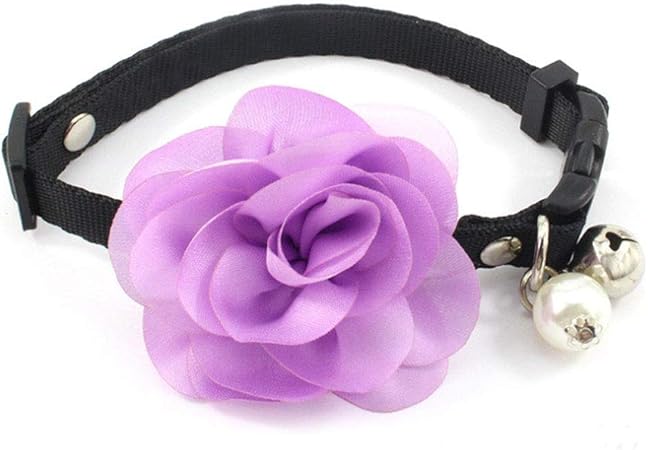 designer leather cat collars