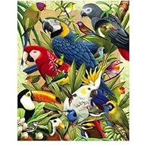 Visual Echo 3D Effect Avian World 3D Lenticular Puzzle 500pc S4