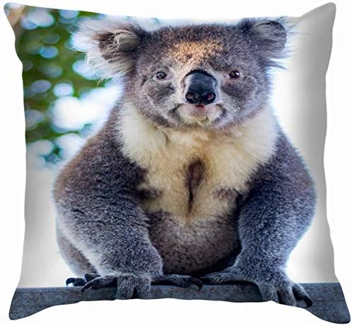tyui7 Coala Australiana Animales Fauna Animal Naturaleza Cojines Fundas