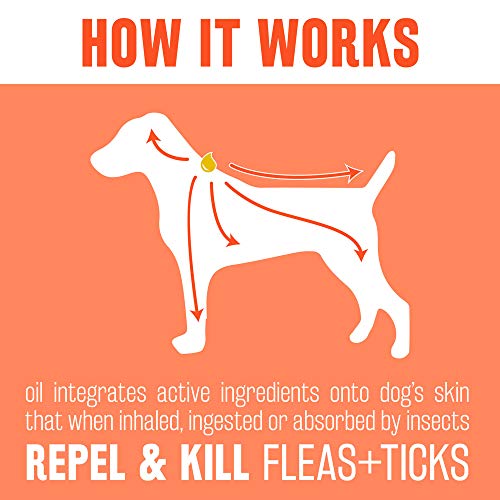 TropiClean Natural Flea & Tick Spot On Treatment for Small Dogs up to