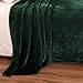Exclusivo Mezcla Fleece Blanket Queen Size for Bed, Super Soft and Warm, All Season Use, Cozy, Plush, Lightweight, 90x90 Inches, Forest Green