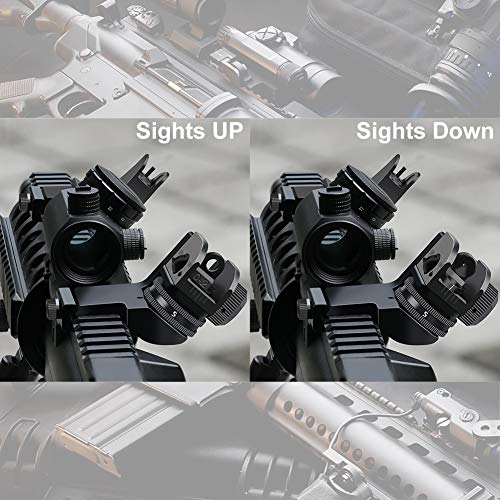 45 Degree Front and Rear Backup Iron Sights Rapid Transition Backup