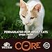 Wellness CORE Natural Grain Free Wet Canned Cat Food, Beef & Lamb, 5.5-Ounce Can (Pack of 24)
