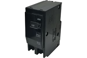 FXSMGDY QO2100CP 100 Amp 2-Pole Circuit Breaker for Square D, QO2100CP Miniature Circuit Breaker with Visi-Trip Indicator, 120/240V, 10 kAIC - 5 Year Warranty)…