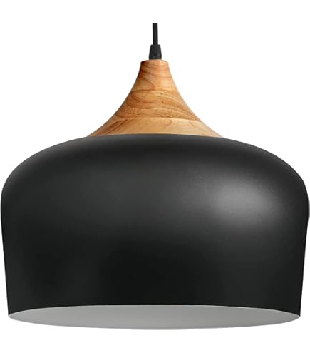 tomons Pendant Light Modern Lantern Lighting with LED Bulb