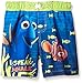 Disney Little Boys' Toddler Finding Dory Swim Trunk, Blue/Green, 2T