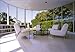 Modernism Reborn: Mid-Century American Houses