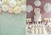 Vidal Crafts 20 Pcs Tissue Paper Pom Poms Kit, 14