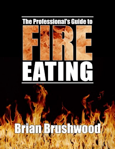 Download The Professional's Guide to Fire Eating (English Edition) PDF