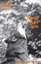 Trente loups gris