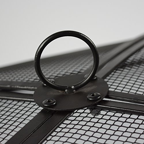 3 Hamptons+Buzaar+Square+Spark+Screen