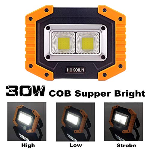 LED Work Light, HOKOILN 2 COB 30W 1500LM Rechargeable Work Light, LED Portable Waterproof LED Flood Lights for Outdoor Camping Hiking Emergency Car Repairing and Job Site Lighting (2 Pack)