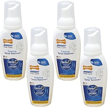 (4 Pack) Nylabone Advanced Oral Care 4 Ounce Dog Foaming Tartar Remover