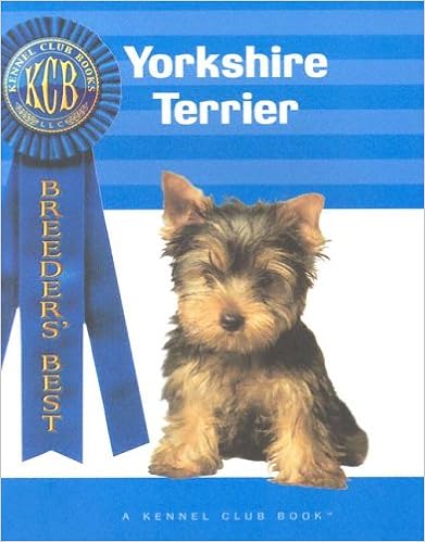 Yorkshire Terrier (Breeders�f Best) �y�[�p�[�o�b�N  - 2004/8/1