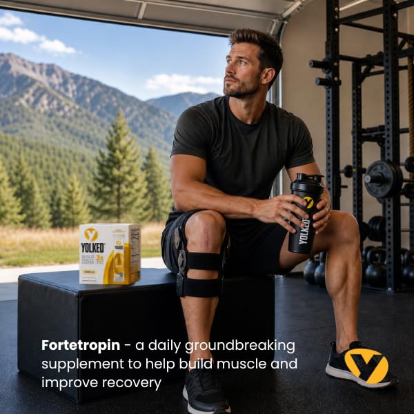 YOLKED - NSF-Certified Muscle Building Supplement - Help Increase Lean Muscle, Reduce Muscle Loss, and Improve Recovery with Fortetropin, 30 Servings