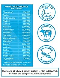 Iconic Protein Powder, Chocolate Truffle, 1 Lb (17 Serving) | Sugar Free, Low Carb Protein Shake | 20g Grass...