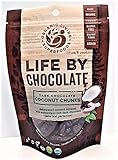 Organic Raw Dark Chocolate Covered Coconut Chunks - 2.70 oz REGULAR