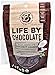 Organic Raw Dark Chocolate Covered Coconut Chunks - 2.70 oz REGULAR