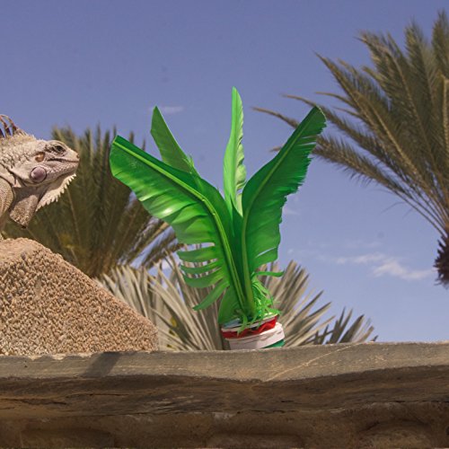 1 Hackibird+hacky+Great+children+adults