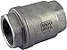 Duda Energy VCV-WOG1000-F200 Vertical Check Valve, 304 Stainless Steel, 2