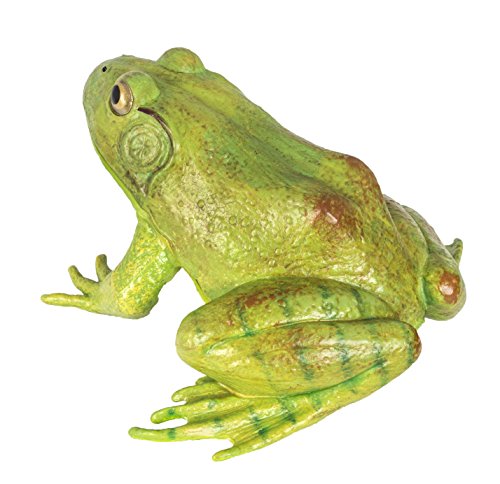 Safari Ltd  Incredible Creatures American Bullfrog