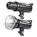 NEEWER DS300 Studio Strobe Photo Flash Light with Bowens Style Mount - 300W Photography Monolight