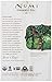 Numi Organic Indulgent Tea Chocolate Mint, 12 Count Box of Tea Bags (Pack of 3) Herbal Teasan (Packaging May Vary)