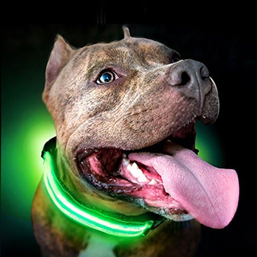 Shine for Dogs Ultimate LED Collar - Rechargeable - 7X Colors Plus Rainbow Disco Collar - Ultra Bright, Weatherproof, Durable - Made to Last. Illuminate Your Dog, Shine Bright - Be Safe.
