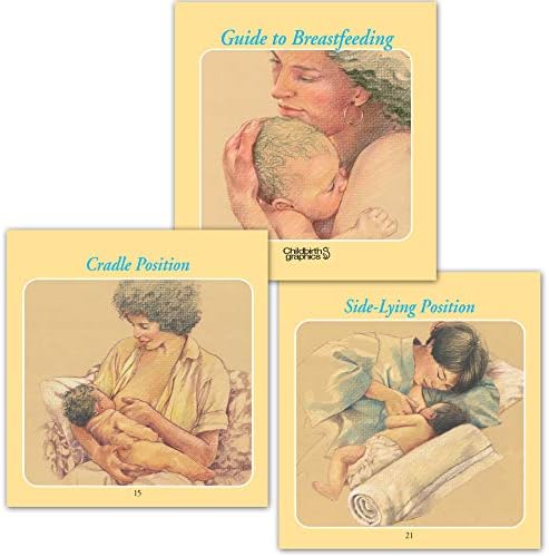 HEALTH EDCO Guide to Breastfeeding Spiral Bound Charts, English