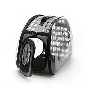 PETCUTE Trasportín para Gatos Bolsa de Transporte para Gatos de Viaje para Mascotas Portador para Gatos Plegables