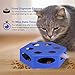 WINGPET Cat Toys for Indoor Cats, Electronic Automated Cat Toys with Mouse Tail & Catnip Ball, Interactive Cat Toys, Exerciser Entertainment Hunting for Kitty Pet, Auto Shut Off…