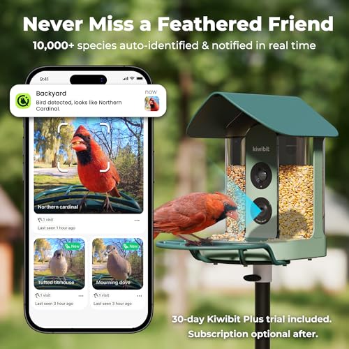 Kiwibit Smart Bird Feeder with Camera Solar Powered, 4K Video Live stream, Wireless Outdoors Bird Camera, AI Identification Bird Species, Real-Time Bird Alert, Birdwatching Gift for Bird Lovers, Green