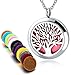 Long Way Aromatherapy Essential Oil Diffuser Necklace with 317L Stainless Steel Pendant Jewelry Gift Set