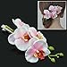 DreamLily Hawaiian Orchid Flower Hair Clips for Wedding Hair Brooch Hawaii Beach Wearing (White Pink)