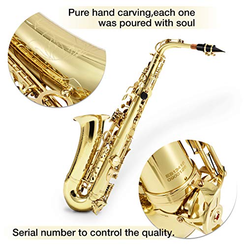 2 Eastar+Student+Saxophone+Carrying+Mouthpiece