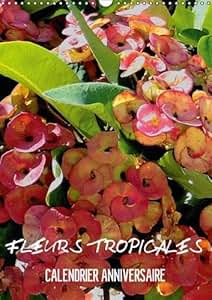 Amazoncom Fleurs Tropicales Calendrier Anniversaire La