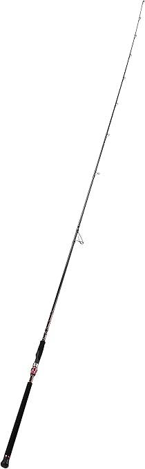 daiwa ardito rod