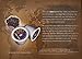 Caza Trail Coffee Pods, French Roast, Single Serve (Pack of 100) (Packaging May Vary)