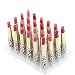 Anself 12 Colors 24pcs Leopard Print Lipsticks Moisturizing Lip Balms Set Waterproof Long Lasting primary