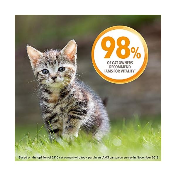 IAMS-for-Vitality-Dry-Kitten-Food-with-Fresh-Chicken-3-kg IAMS for Vitality Dry Kitten Food with Fresh Chicken, 3 kg, Packaging may vary