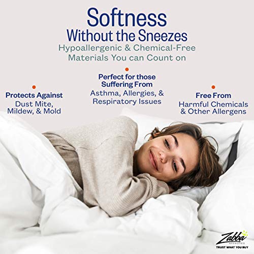 Sleep Restoration Queen Size Comforter for Bed Down Alternative