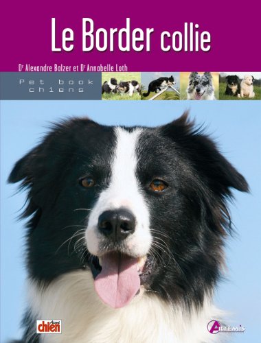 Le  border collie