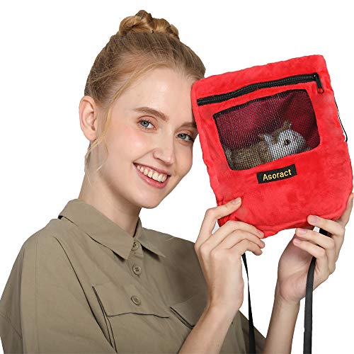 sugar glider bonding pouch