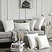 MIULEE Throw Pillow Insert, Stuffer Pillow Inserts Decorative Rectangle Premium Sham Pillow Forms for Sofa Couch Bed 12x20 Inch White