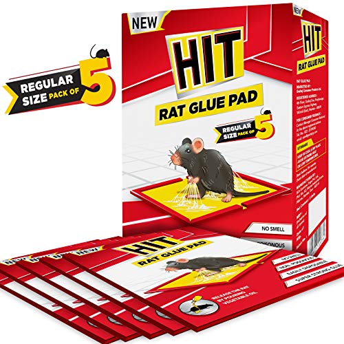 HIT Rat/Mouse Glue Pad No Smell, Non Poisonous, Easy to Use (Pack of