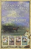 Sisters Of Holmes County Wanda E Brunstetter