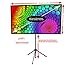 GO-60 Portable Projector Screen | 60 inch | Mounts on Tripod AND Wall | 16:9 format | 9 lbs | 2 minute setup | Includes Carrying Bag | For Mobile presentation and Home Entertainment |4K Ultra HD ready