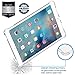 LUVVITT CLEAR GRIP Flexible Soft Transparent TPU Shockproof Rubber Back Cover for iPad Pro 9.7 inch - Clear